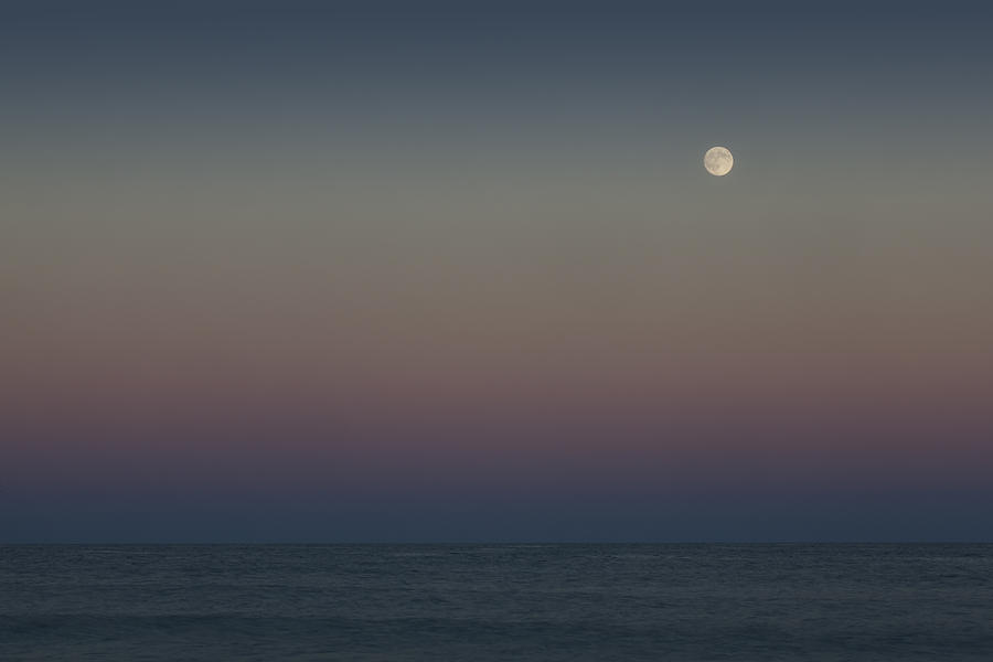Watching an Ausgust Moon Photograph by Steve Gravano