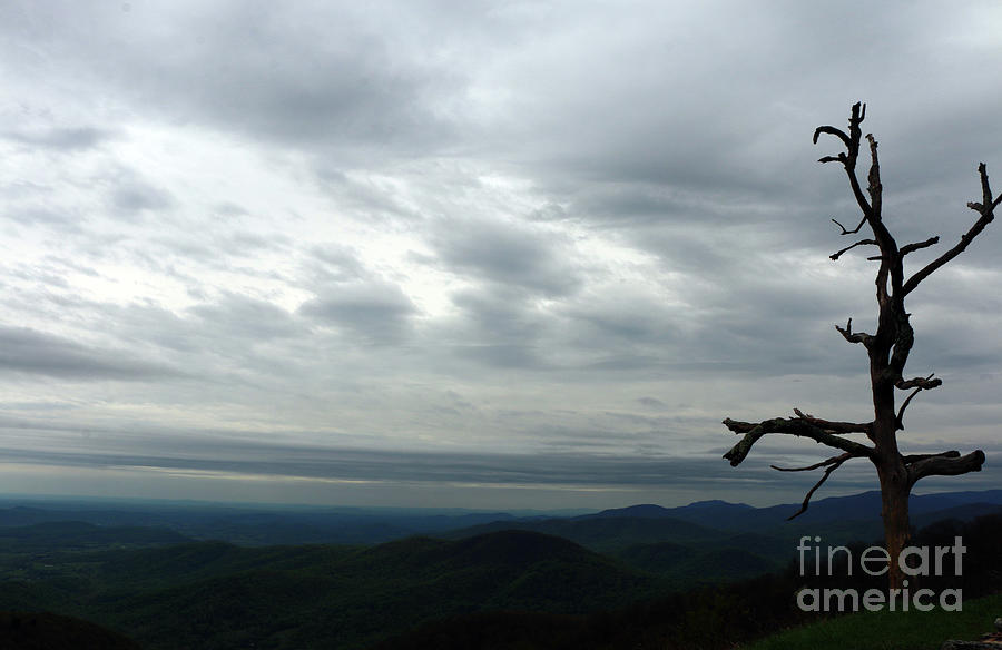 Watching Over Shenandoah Valley Photograph by Christiane Schulze Art And Photography