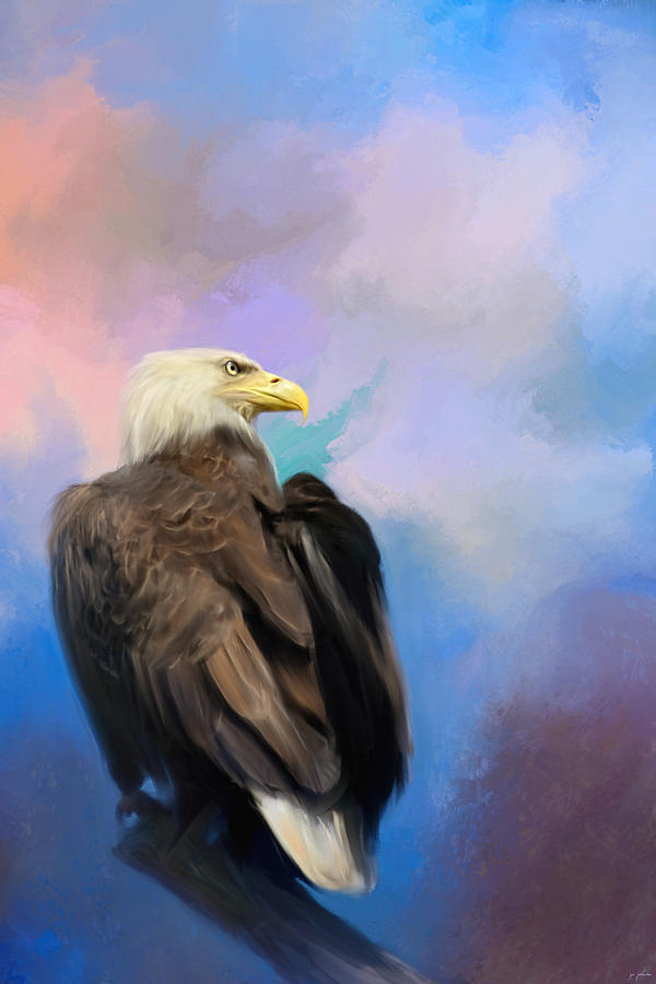 Eagle Painting - Watching Over The Heavens by Jai Johnson