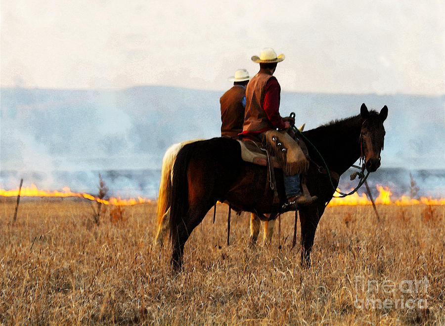 Horse Photograph - Watching the Fire in the Flint Hills by Catherine Sherman