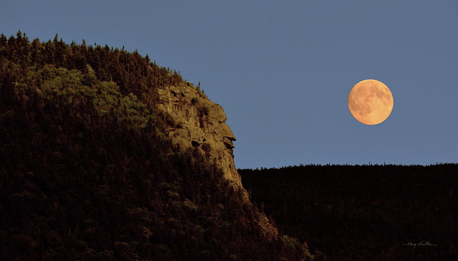 Watching The Rising Moon Photograph by Harry Moulton