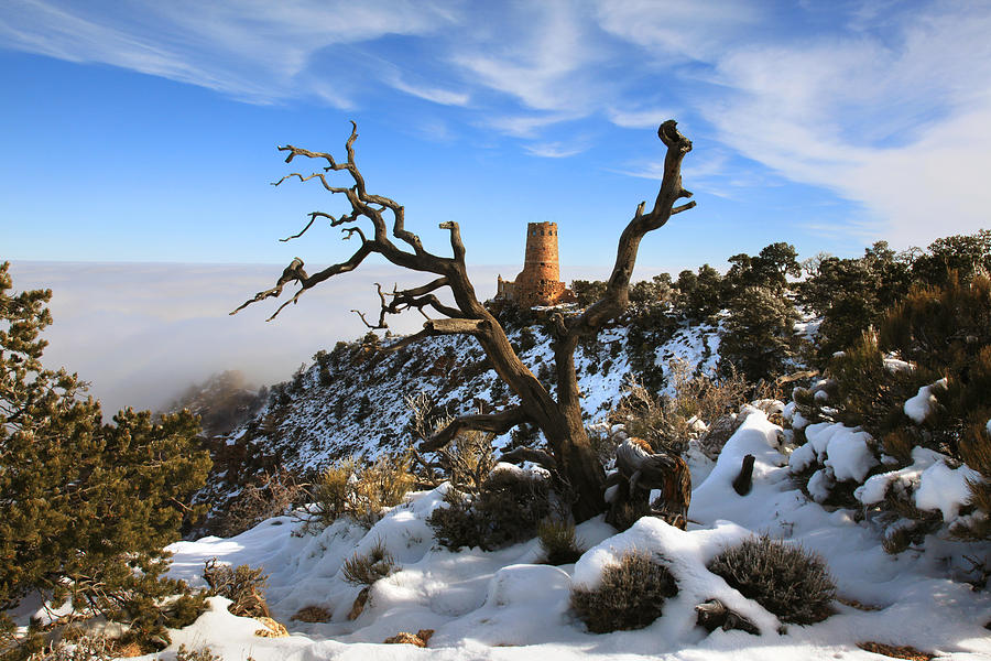 Watchtower in Winter Photograph by Mike Buchheit