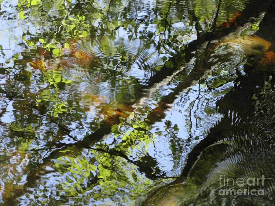 Water Abstract 10 Photograph by Joanne Baldaia - Printscapes
