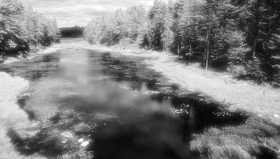 Water And Forest In Spring BW  Digital Art by Lyle Crump