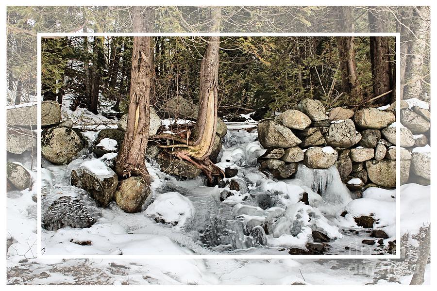 Winter Photograph - Water and Ice on the Rocks by Joseph Marquis
