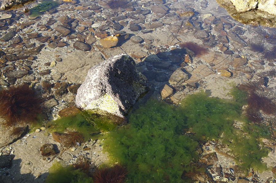 Water And Rocks Photograph by Masami Iida