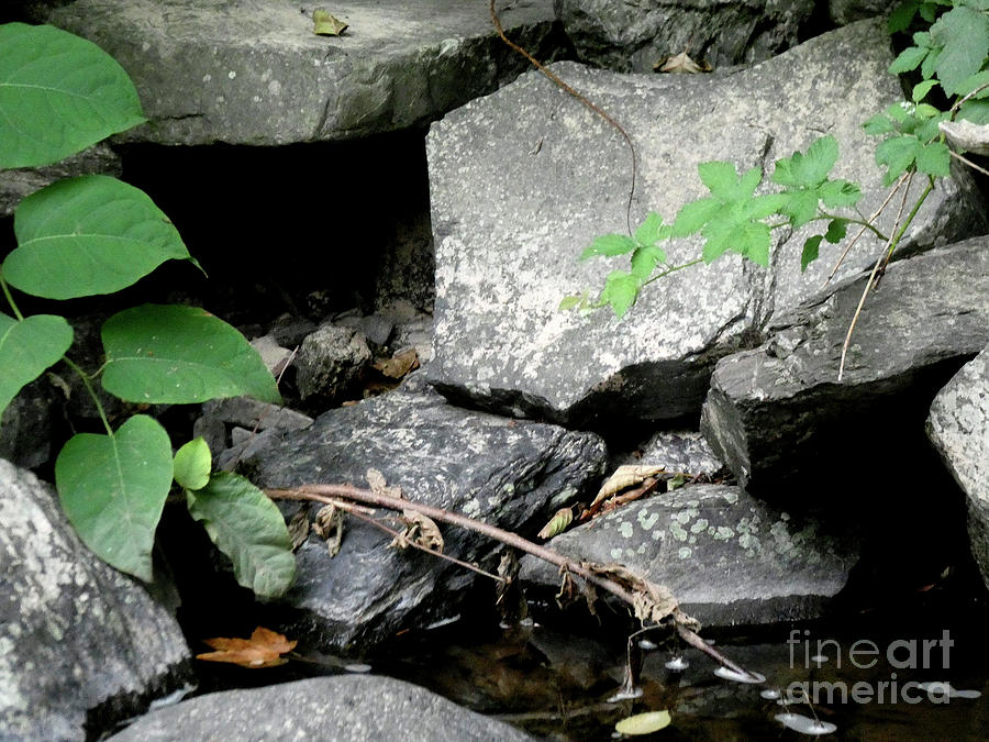Water and Stone Photograph by Humphrey Isselt
