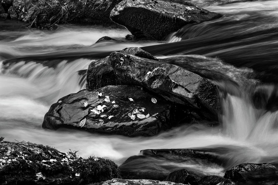 Mountain Photograph - Water Around Rocks In Black and White by Greg and Chrystal Mimbs