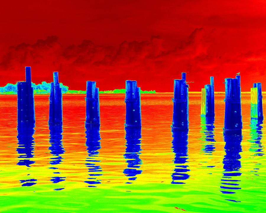 Water bird on a pier high color XXL Digital Art by Katy Hawk