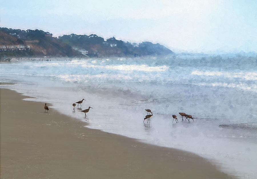 Wildlife Digital Art - Water Birds at La Selva Beach by Terry Davis