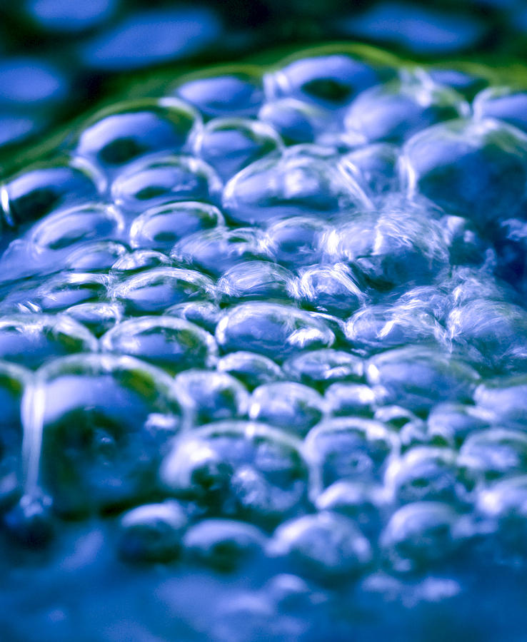 Water Bubbles Photograph by Frank Tschakert