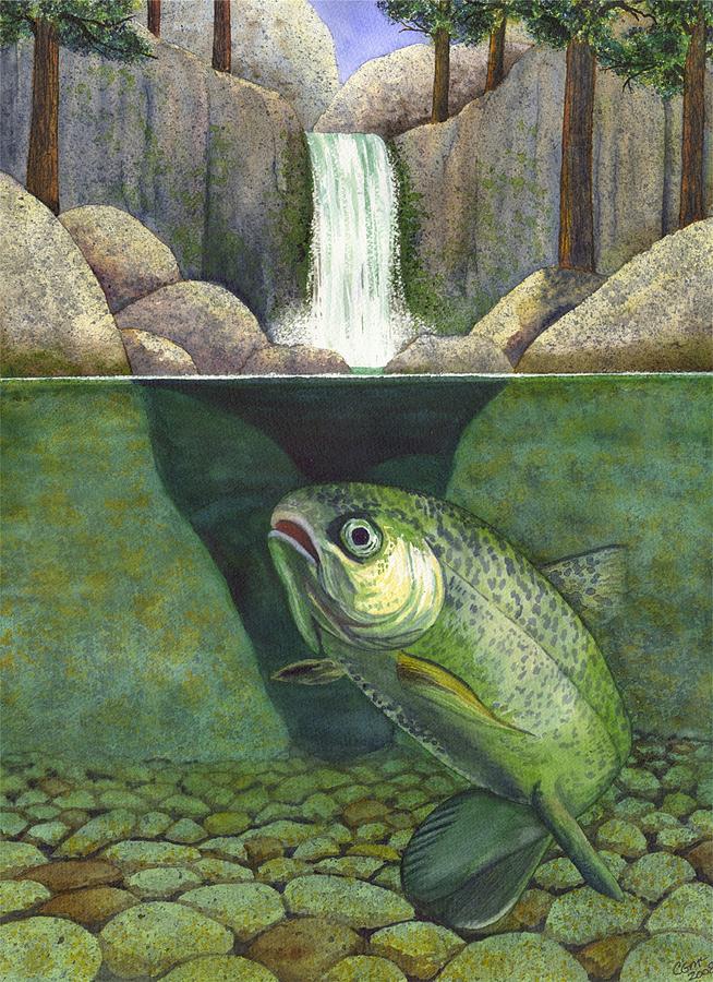 Trout Painting - Water by Catherine G McElroy