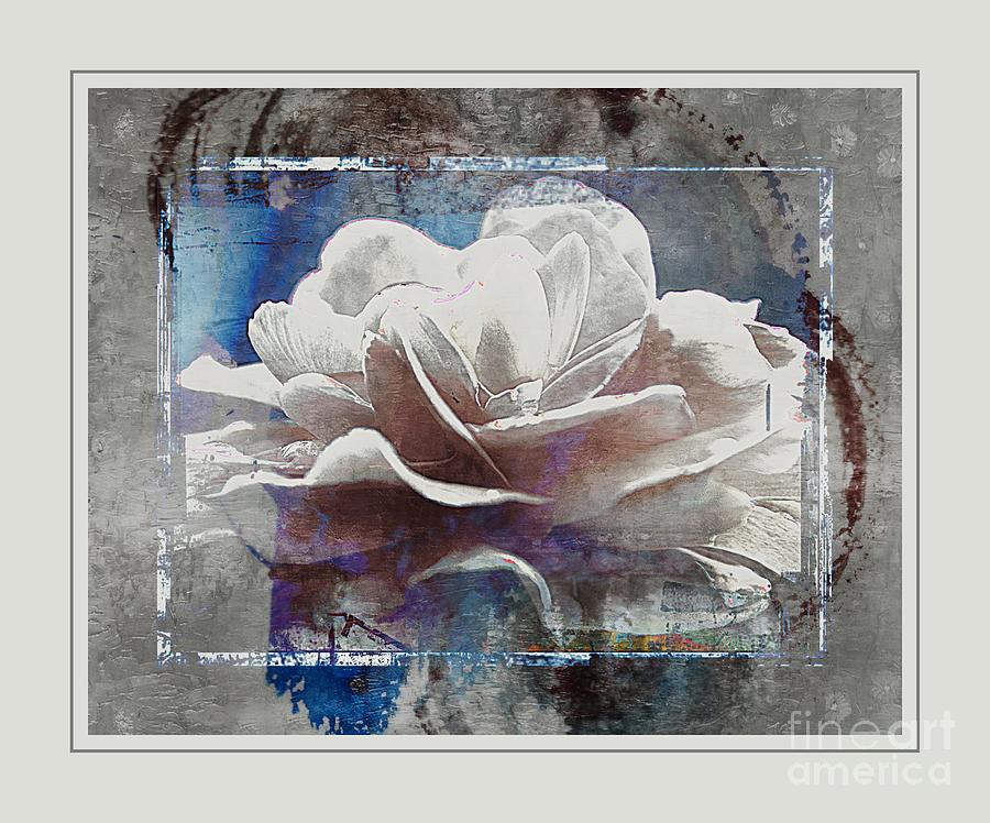 Water Color Peony Photograph