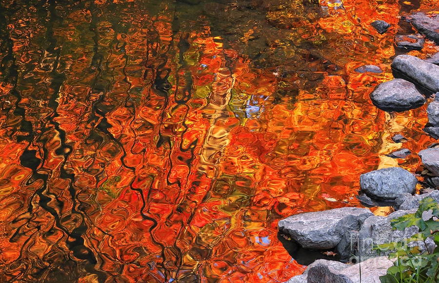 Water Colors in Autumn Photograph by Charline Xia