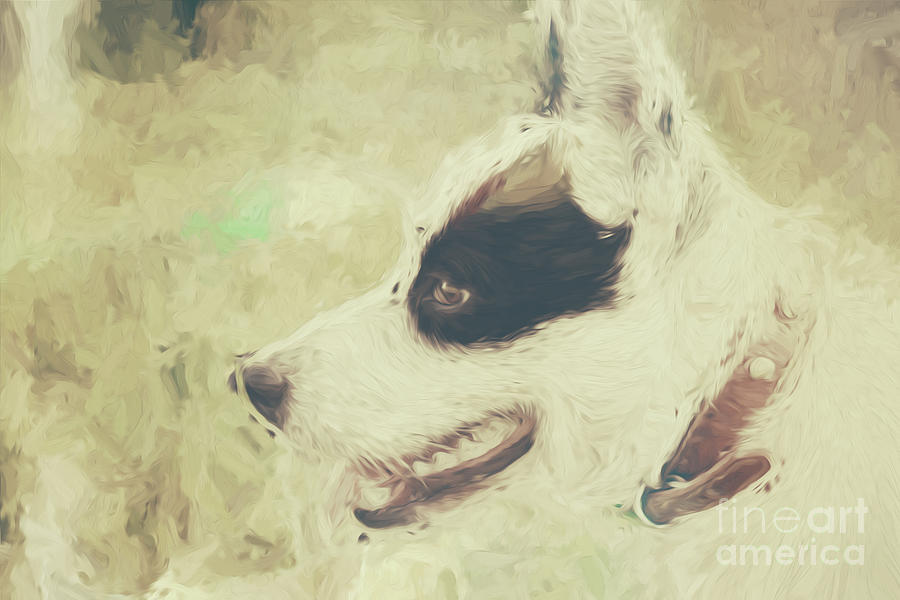Water colour art of an adorable puppy dog Photograph by Jorgo Photography