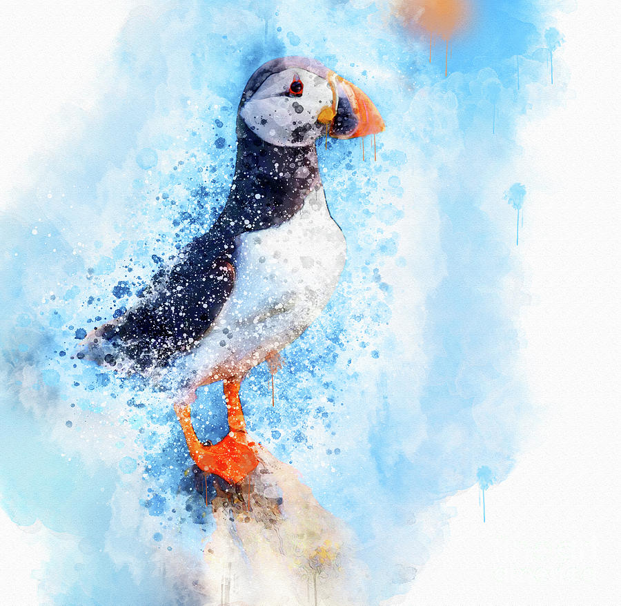 Puffin Mixed Media - Water Colour Puffin by Jim Hatch