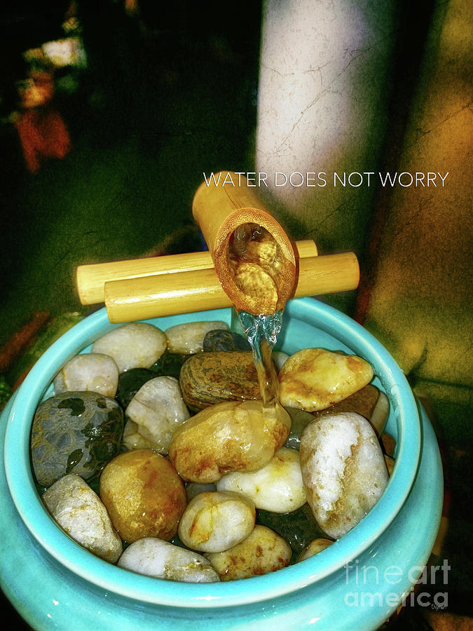 Zen Photograph - Water Does Not Worry by Steven Digman Zen Photograph - Water Does Not Worry by Steven Digman