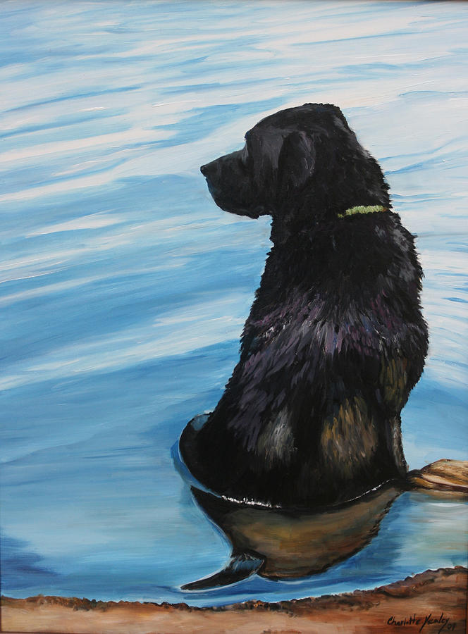 Water Dog Painting by Charlotte Yealey