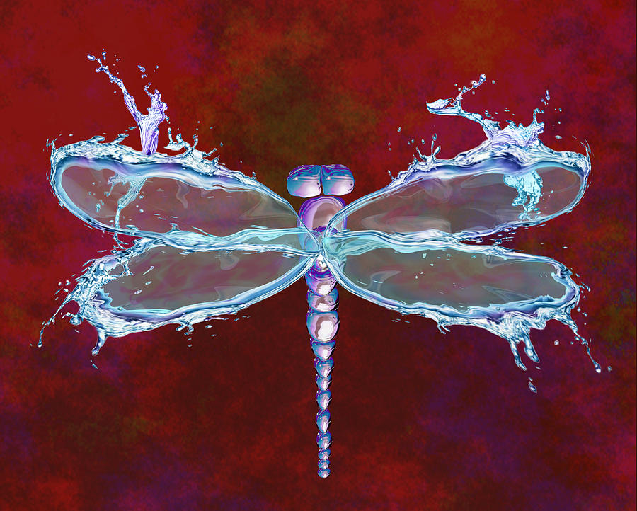 Water Dragonfly Digital Art