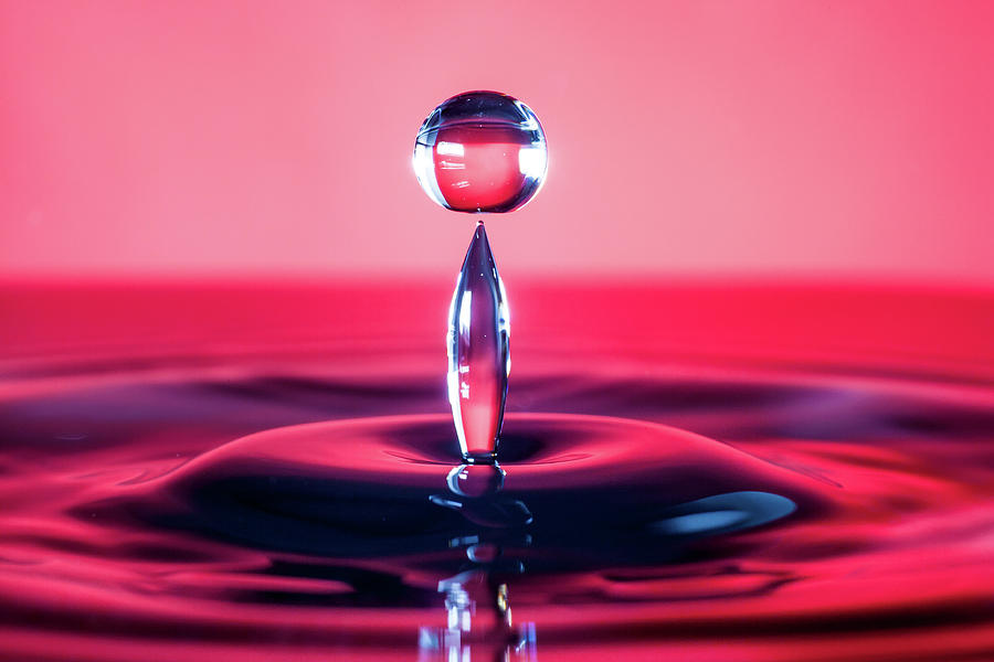 Water Drop Balancing Act Photograph by Max Neivandt - Fine Art America