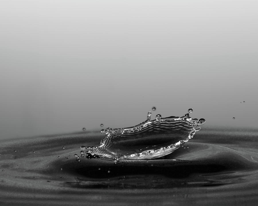 Water Drop Bowl - Clear Photograph by Kathleen Prince - Fine Art America