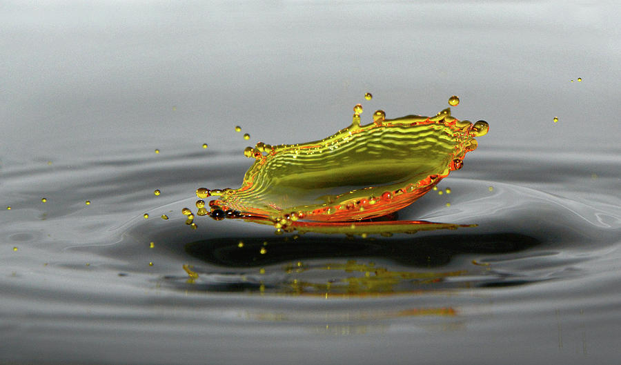 Water Drop Bowl - Orange Photograph By Kathleen Prince - Fine Art America