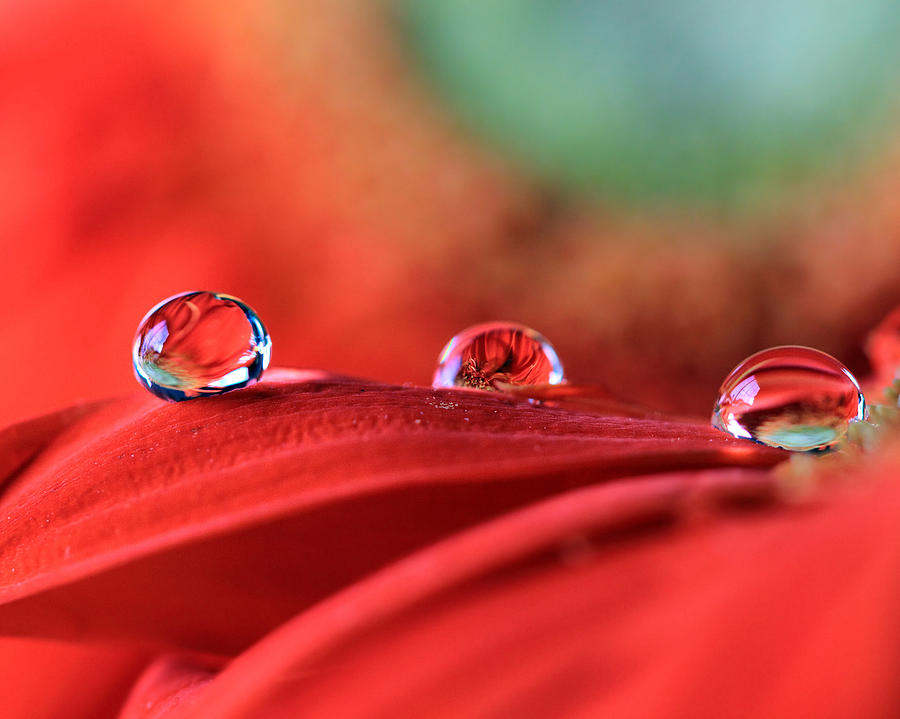 Water Drop Reflections Photograph by Angela Murdock