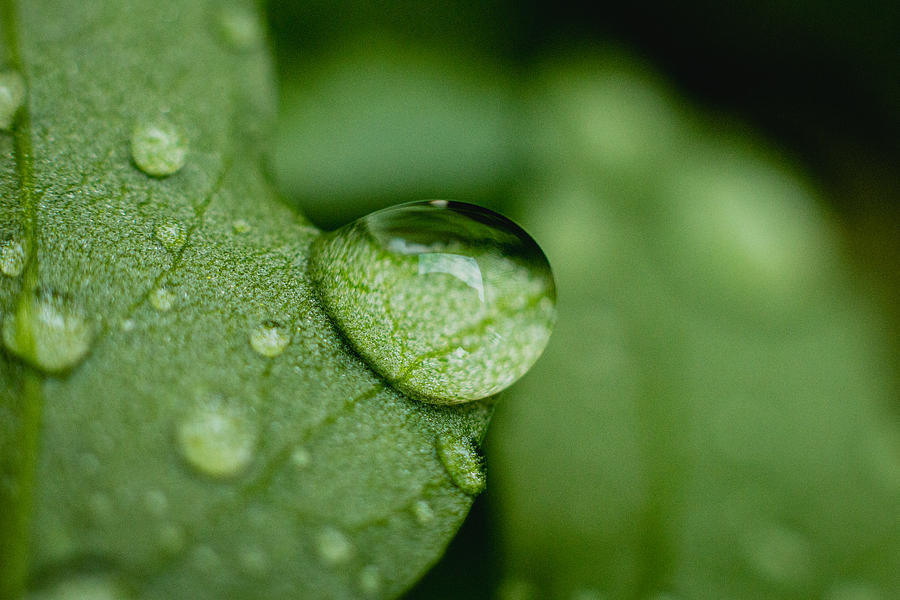 Water Drop Photograph by Hyuntae Kim
