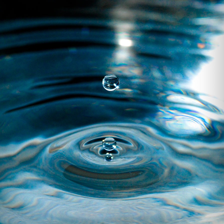 Water Drop in Time Photograph by Sonja Quintero
