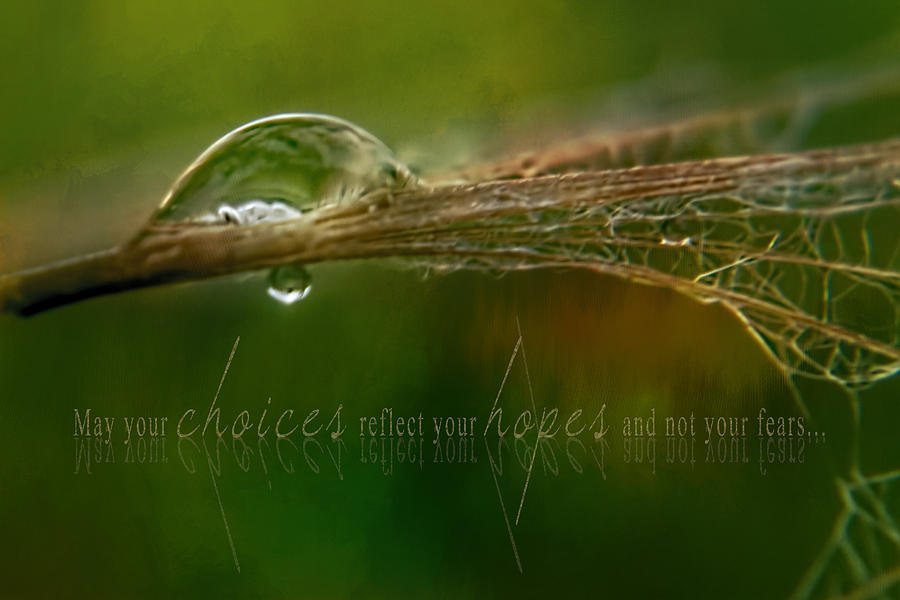 Water Drop Reflection Choices Hopes Quote Photograph By Christina Vanginkel