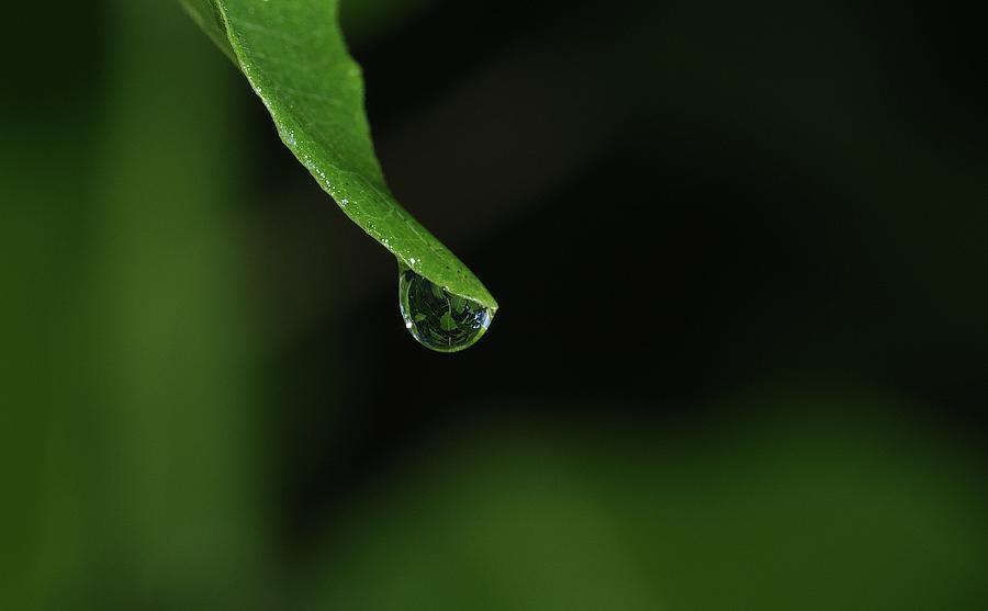 Water Drop Photograph by Richard Rizzo