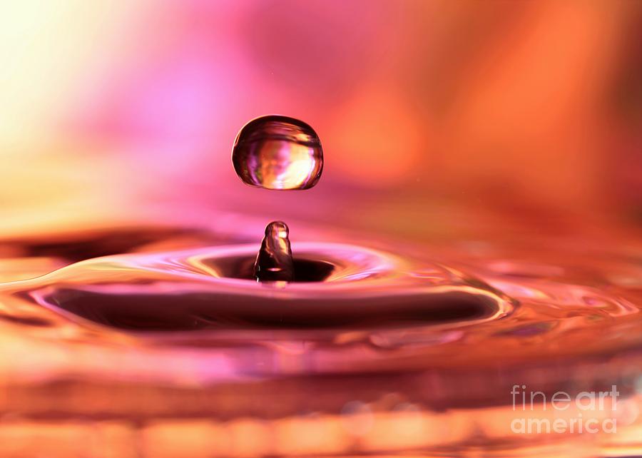 Water Drop Photograph by Sabrina L Ryan