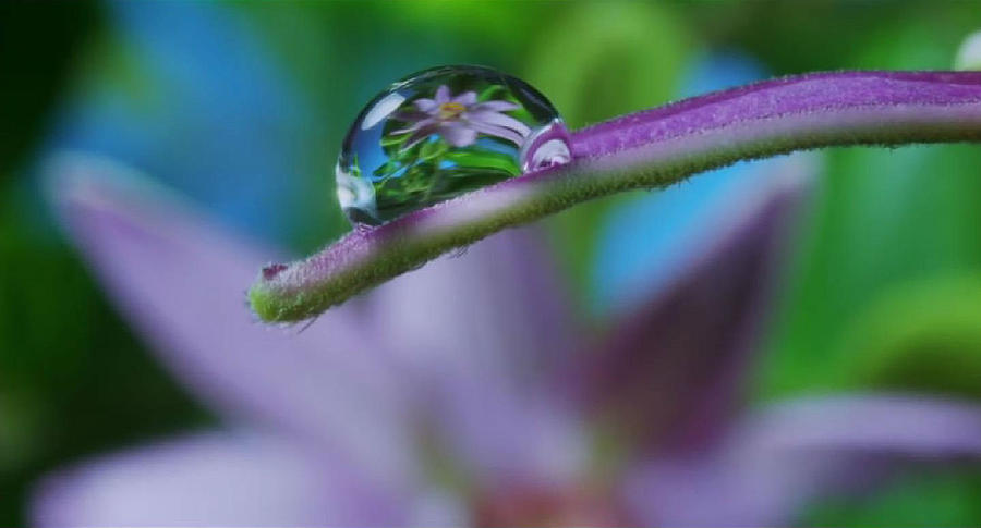Water Droplet Photograph by Digital Art Cafe