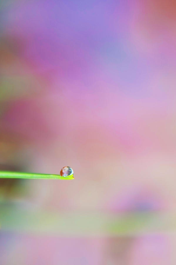 Water Droplet Photograph by Nicole Swanger