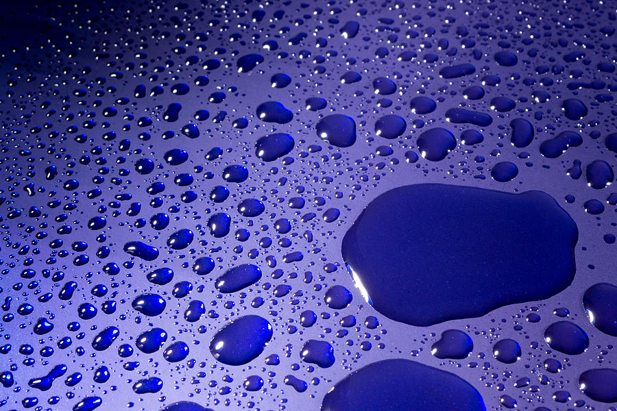 Water Droplets on Blue Number Six Photograph by John Williams