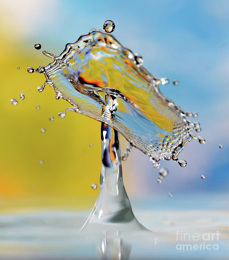 Water drops Photograph by Colin Rayner