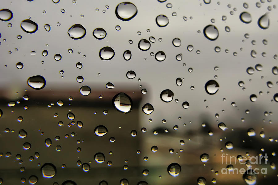 Water drops Photograph by Daliana Pacuraru