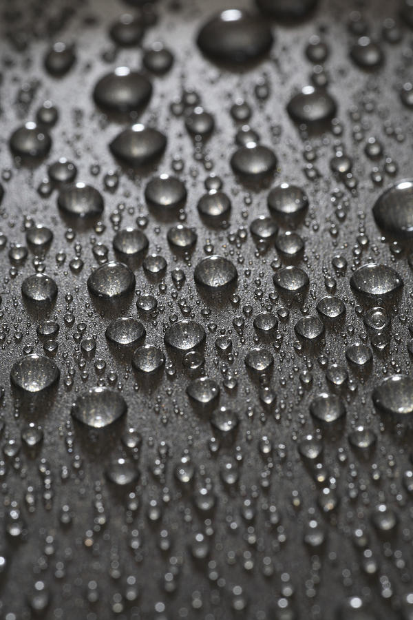 Water Drops Photograph by Frank Tschakert