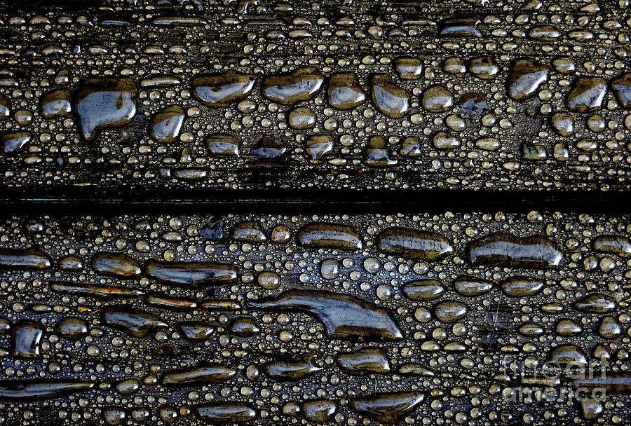 Water Drops IV Photograph by Tim Townsend