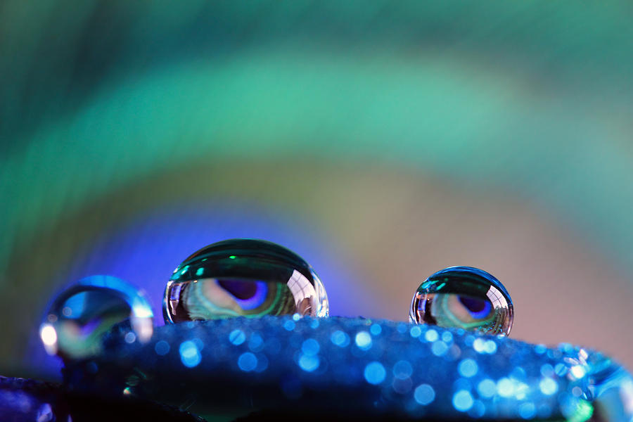 Water Drops Macro Photograph by Angela Murdock
