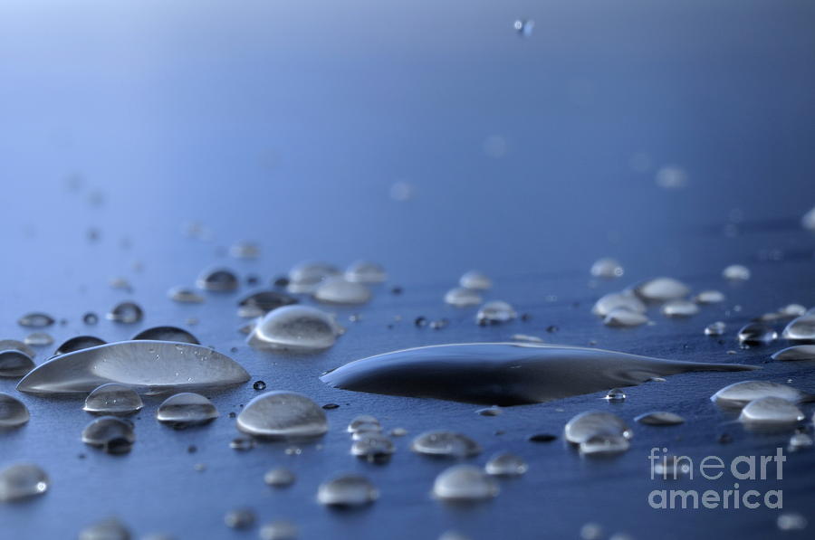 Nature Photograph - Water drops on surface by Sami Sarkis