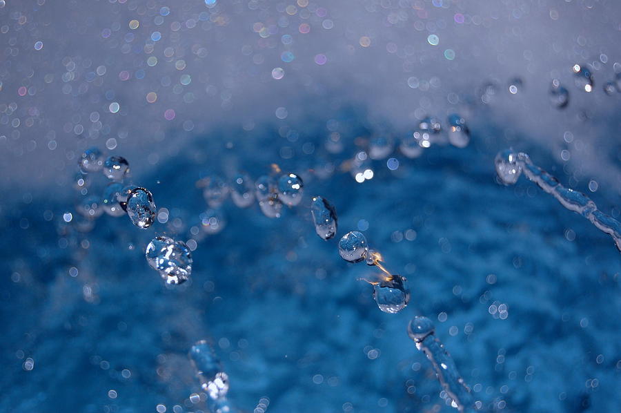 Water drops Photograph by Patty Vicknair