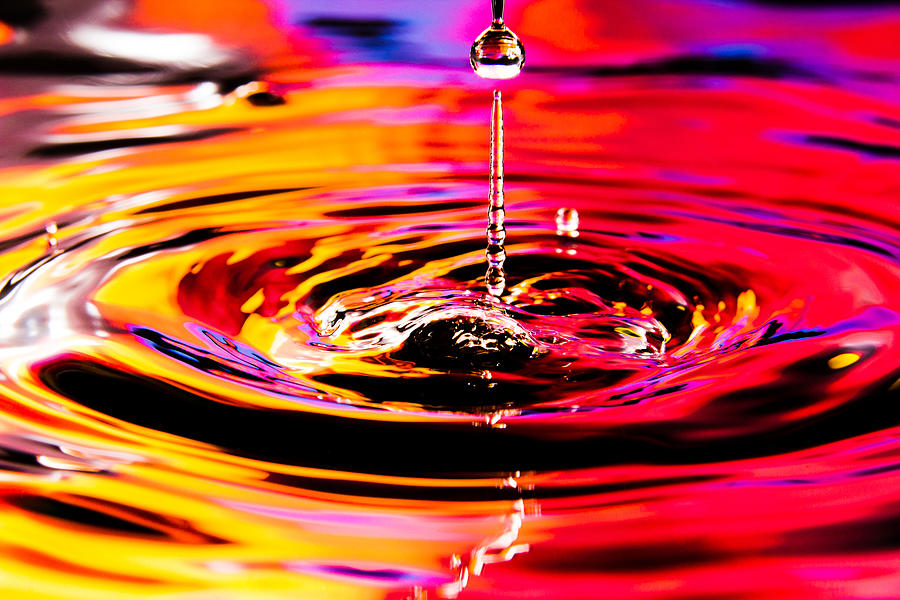 Water Drops Photograph by SR Green