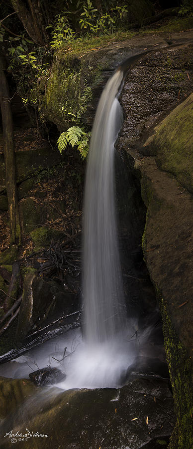 Water Fall Photograph by Andrew Dickman