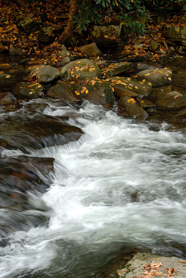 Western North Carolina Photograph - Water-fall by David Campione