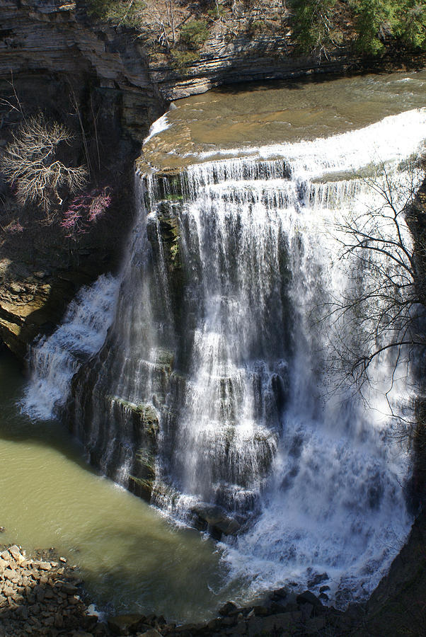 Water Fall in Tennessee  Photograph by Douglas Barnett