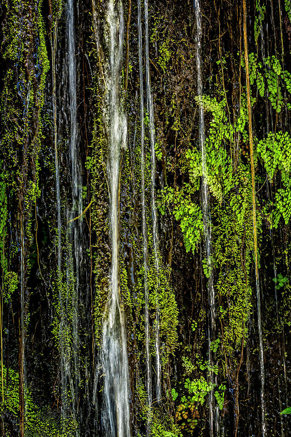 Water Falling Photograph by Kelley King