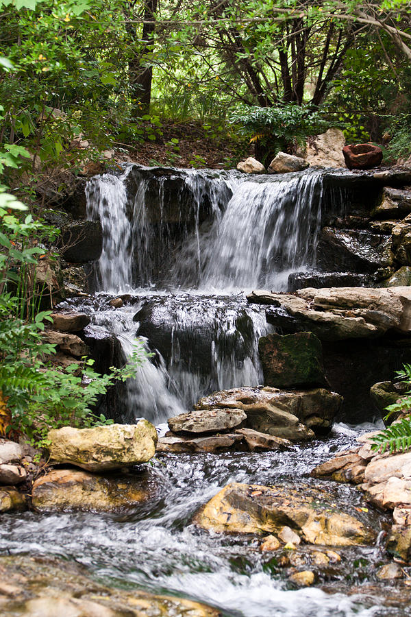 Waterfall Photograph - Water Feature by Marjohn Riney