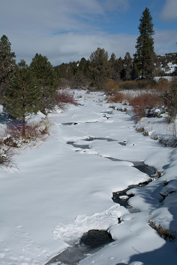 Water finds it's own path Photograph by Dave Hill - Fine Art America