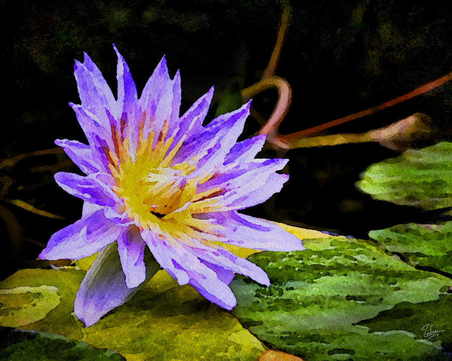 Water Flower Faux Watercolor Photograph by Endre Balogh